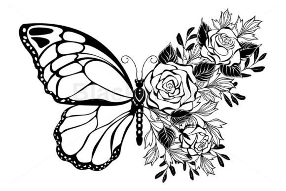 Download Flower Butterfly with Rose - Flower Collection