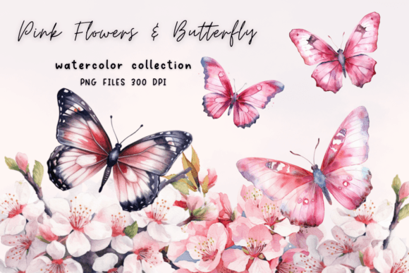 Download Pink Flower Butterfly Watercolor - Flower Collection