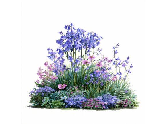 Download 14 JPG Garden Flowers Watercolor - Flower Collection