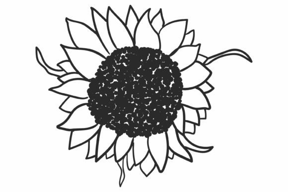 Download Sunflower SVG, Flower Svg - Flower Collection