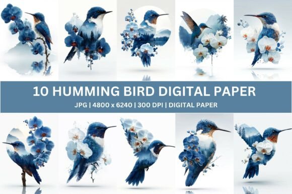 Download 10 Blue Orchid Hummingbird Digital Paper - Premium Resources